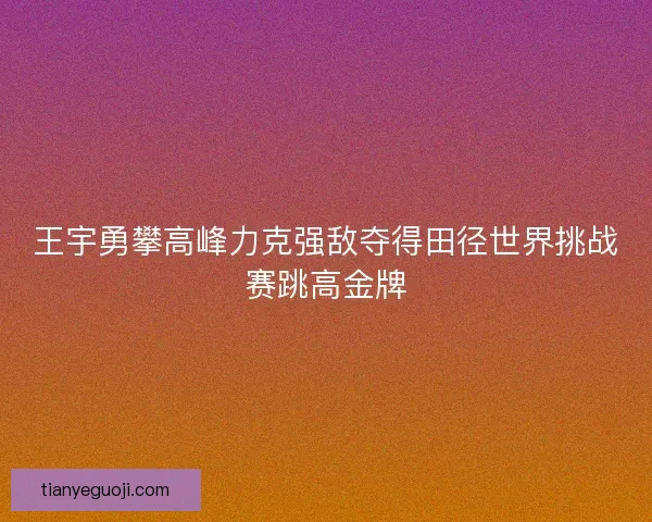 王宇勇攀高峰力克强敌夺得田径世界挑战赛跳高金牌 王宇勇攀高峰力克强敌夺得田径世界挑战赛跳高金牌