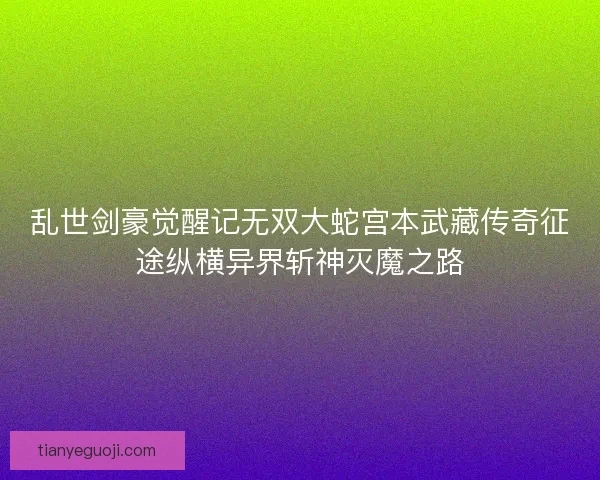 乱世剑豪觉醒记无双大蛇宫本武藏传奇征途纵横异界斩神灭魔之路
