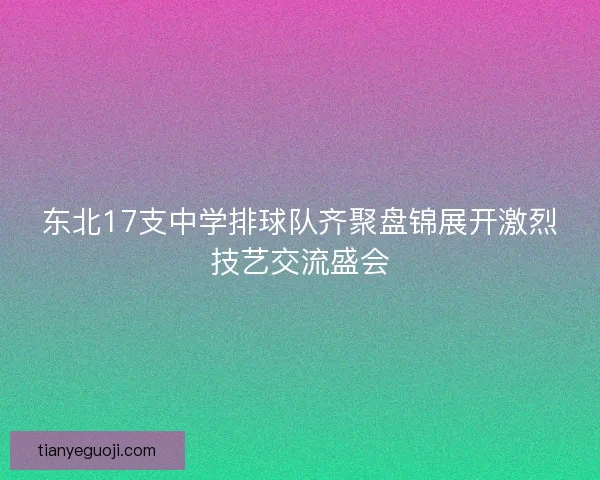 东北17支中学排球队齐聚盘锦展开激烈技艺交流盛会